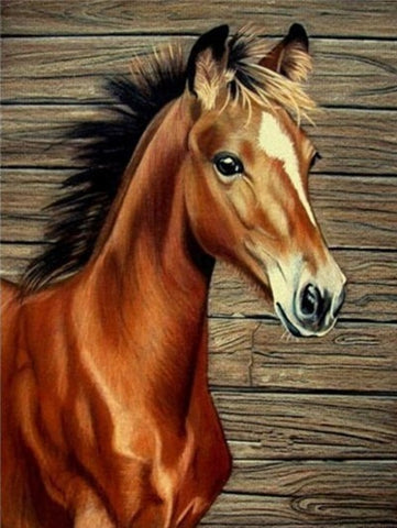 Image of BEAUTIFUL HORSES SERIES Diamond Painting Kit - DAZZLE CRAFTER