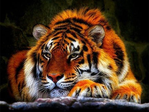 Image of TIGER FAMILY SERIES Diamond Painting Kit - DAZZLE CRAFTER