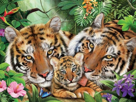 Image of TIGER FAMILY SERIES Diamond Painting Kit - DAZZLE CRAFTER