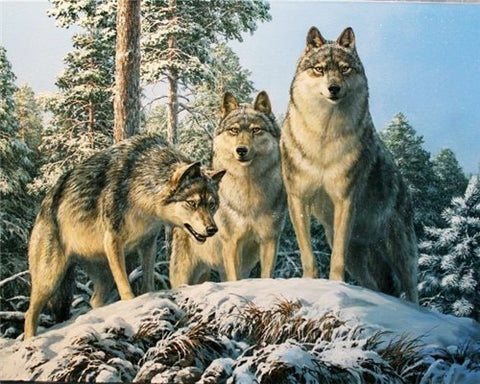 Image of WOLVES IN THE SNOW SERIES Diamond Painting Kit - DAZZLE CRAFTER