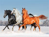 GALLOPING HORSES SERIES Diamond Painting Kit - DAZZLE CRAFTER