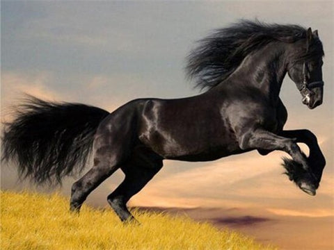 Image of GALLOPING HORSES SERIES Diamond Painting Kit - DAZZLE CRAFTER