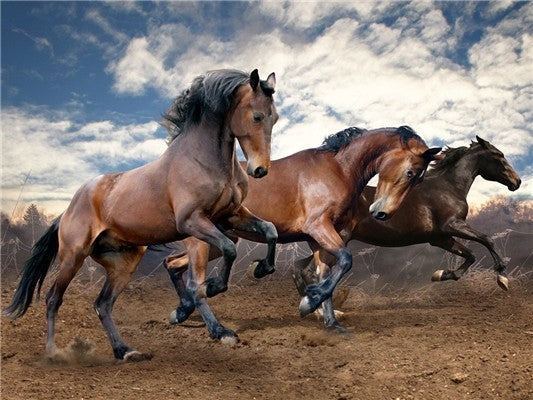 GALLOPING HORSES SERIES Diamond Painting Kit - DAZZLE CRAFTER