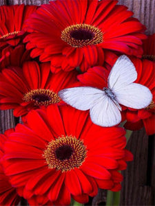 RED FLOWERS SERIES Diamond Painting Kit - DAZZLE CRAFTER