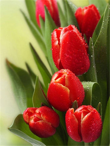 Image of RED FLOWERS SERIES Diamond Painting Kit - DAZZLE CRAFTER