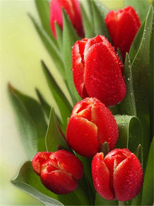 RED FLOWERS SERIES Diamond Painting Kit - DAZZLE CRAFTER