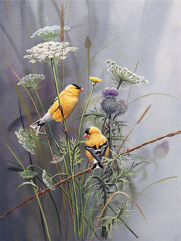 Image of BEAUTIFUL BIRDS SERIES Diamond Painting Kit - DAZZLE CRAFTER
