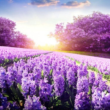 Image of PURPLE FLOWER MEADOW SERIES Diamond Painting Kit - DAZZLE CRAFTER