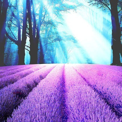 Image of PURPLE FLOWER MEADOW SERIES Diamond Painting Kit - DAZZLE CRAFTER