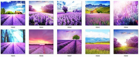 Image of PURPLE FLOWER MEADOW SERIES Diamond Painting Kit - DAZZLE CRAFTER