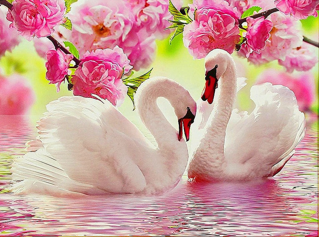 SWAN LOVE Diamond Painting Kit